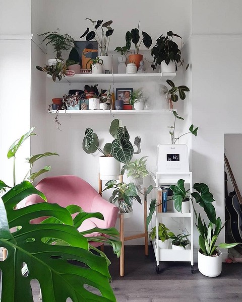 Даже на тележке с прибором...