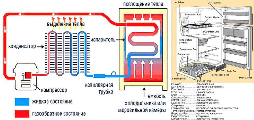 Как работает холодильник простыми словами
