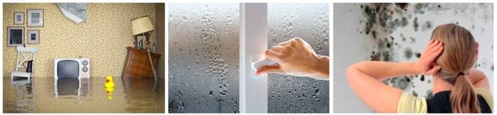 Варианты ремонта увлажнителя воздуха