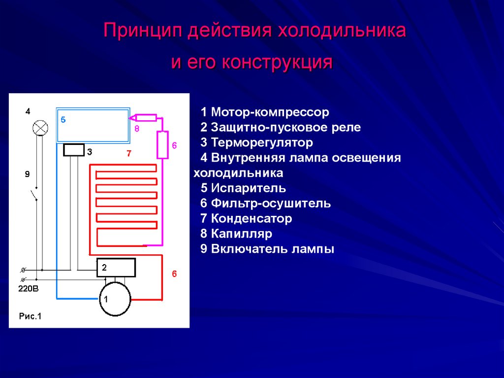 Как работает холодильник простыми словами