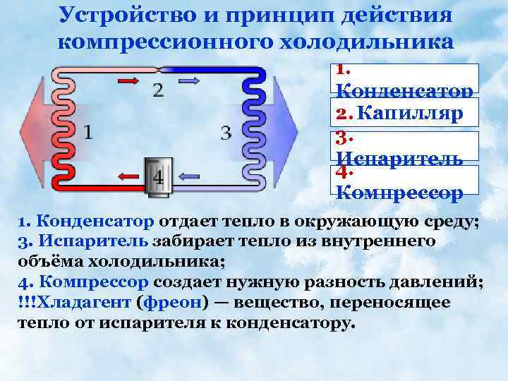 Схема подключения холодильника: устройство и принцип работы бытовых холодильников