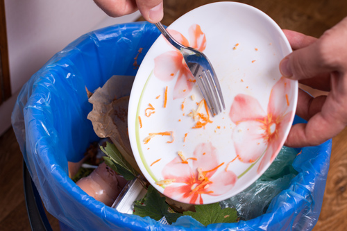 удалить остатки еды с тарелки-посудомоечная машина