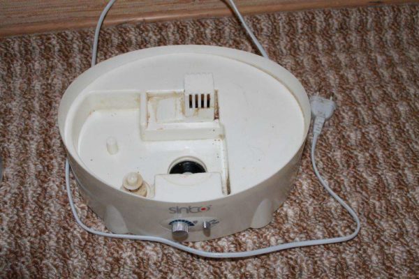 Плесень на увлажнителе