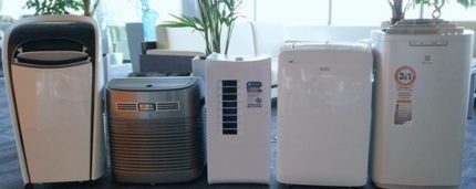 Модели, участвующие в рейтинге