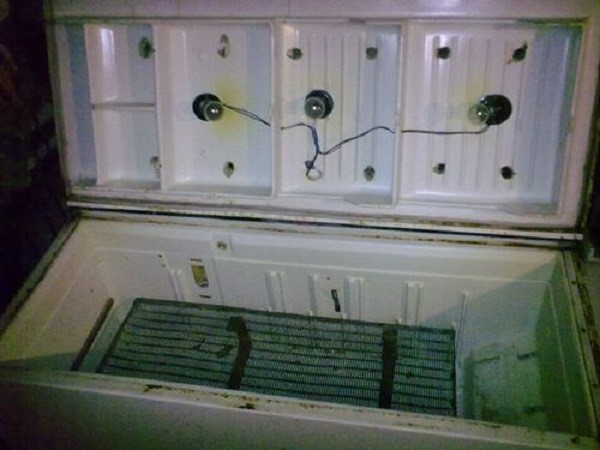 Превратите холодильник в инкубатор