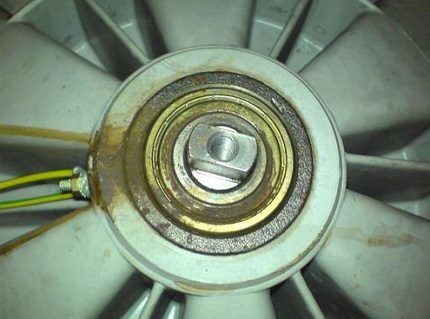 Полоски ржавчины на теле