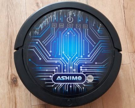 Внешний вид Ашимо