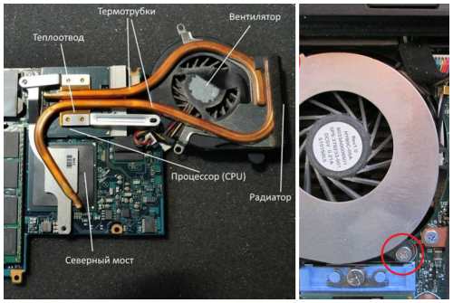 внутри ноутбука