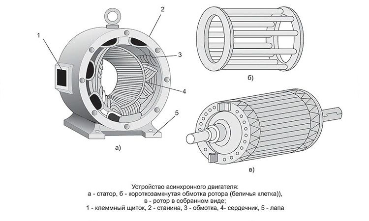 Устройство асинхронного двигателя.