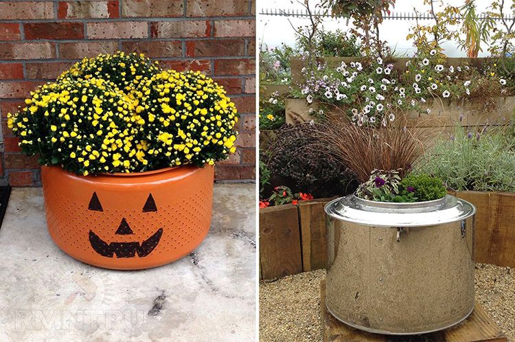 Клумбы, которым не страшны грызуны.