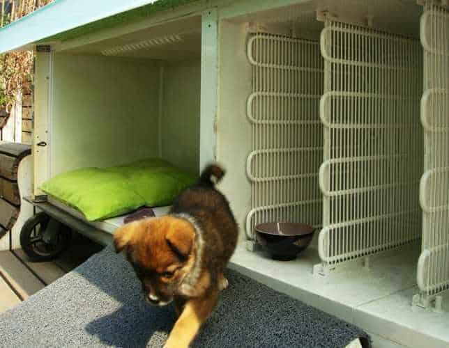 Хорошая идея использовать старый холодильник в качестве домика для домашних животных