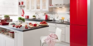 Неисправности двухкамерного холодильника Bosch No Frost