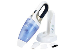 одиннадцать