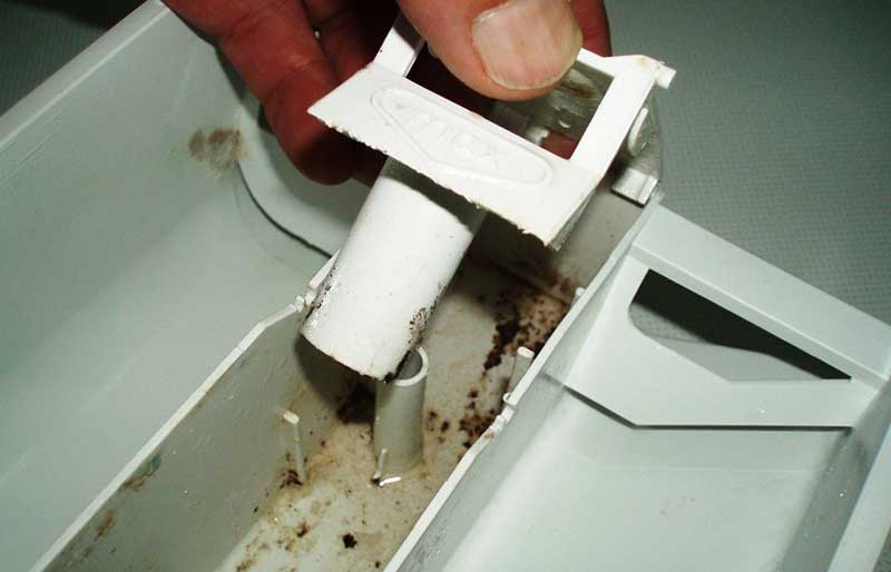 грибы в стиральной машине