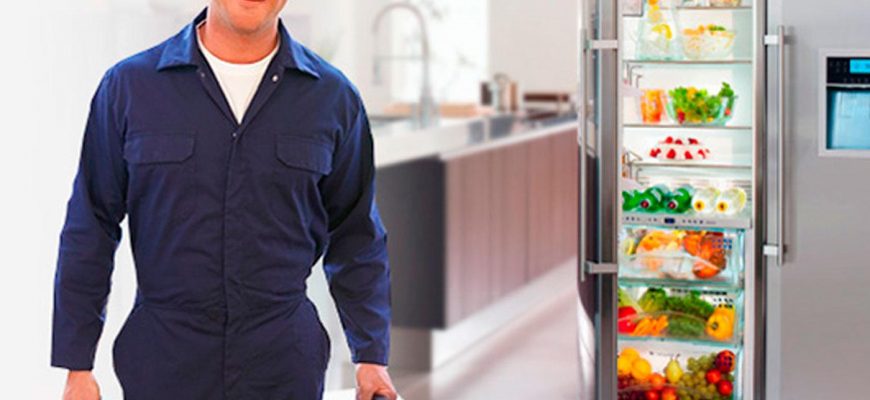 холодильник не работает, а морозильник работает