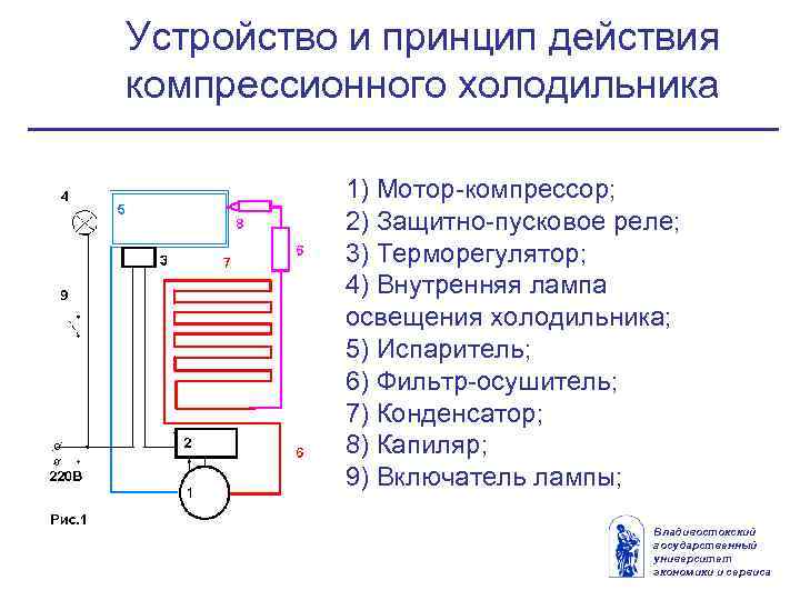 Как работает холодильник простыми словами