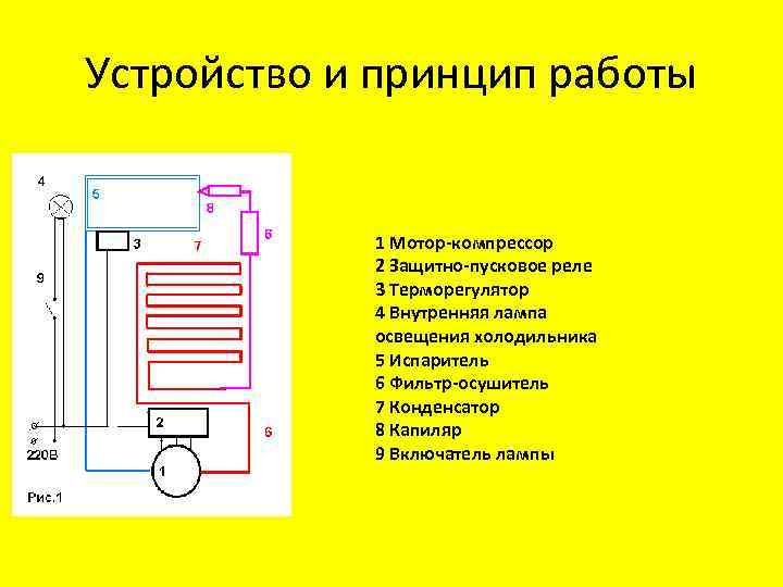 Схема работы двухкамерного холодильника с одним компрессором