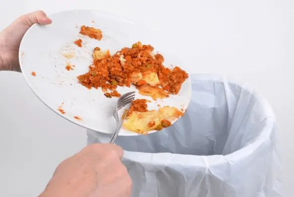 Утилизация остатков еды