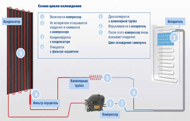 Как работает холодильник простыми словами