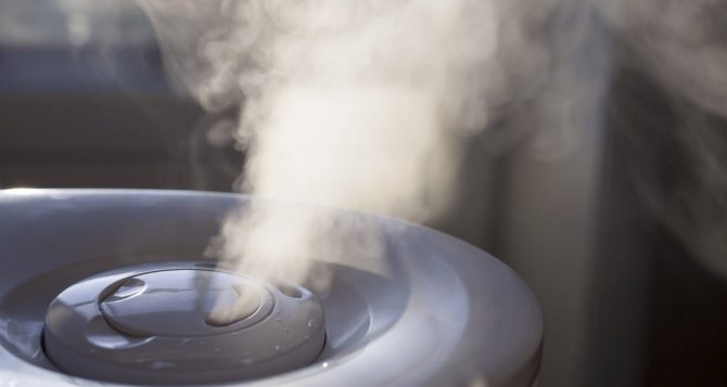 Увлажнитель не выпускает пар